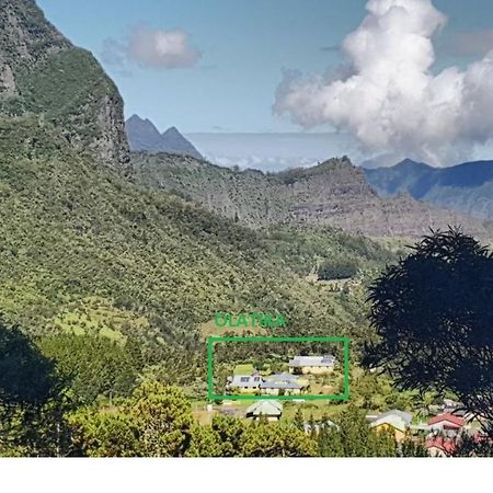 Olatika - Gite Des Cascades Cilaos Exterior foto